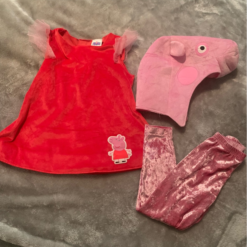 COPY - Peppa Pig Costume